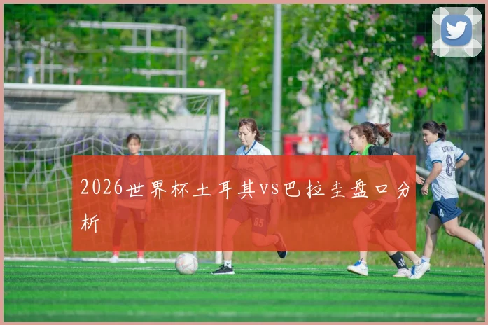 2026世界杯土耳其vs巴拉圭盘口分析