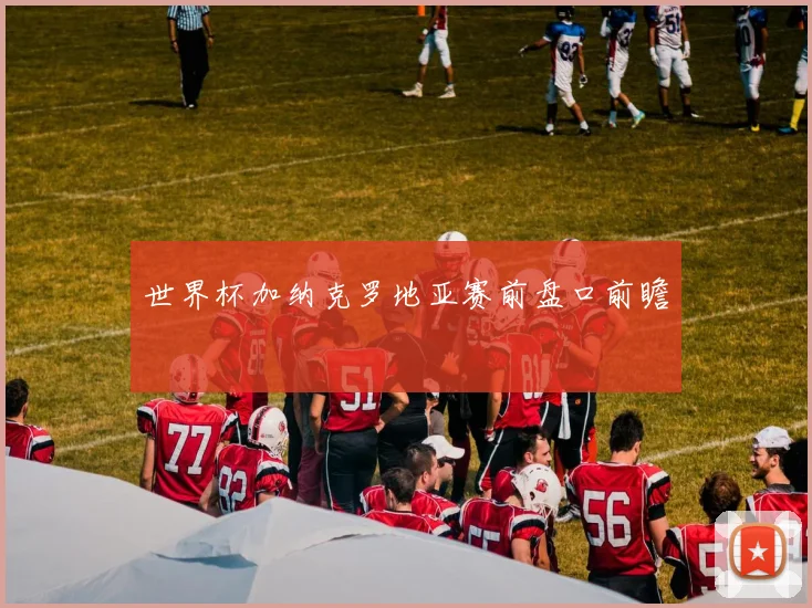 世界杯加纳克罗地亚赛前盘口前瞻