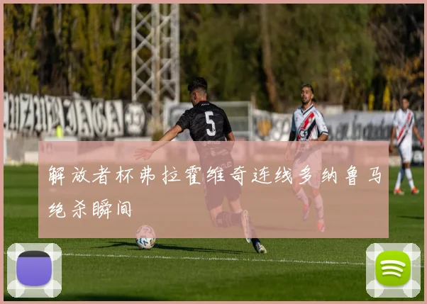 解放者杯弗拉霍维奇连线多纳鲁马绝杀瞬间