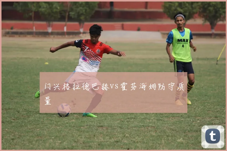 门兴格拉德巴赫vs霍芬海姆防守质量