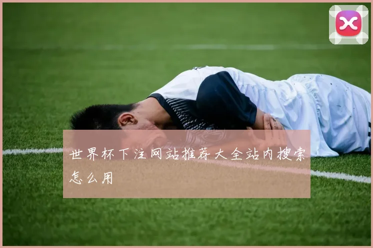 世界杯下注网站推荐大全站内搜索怎么用