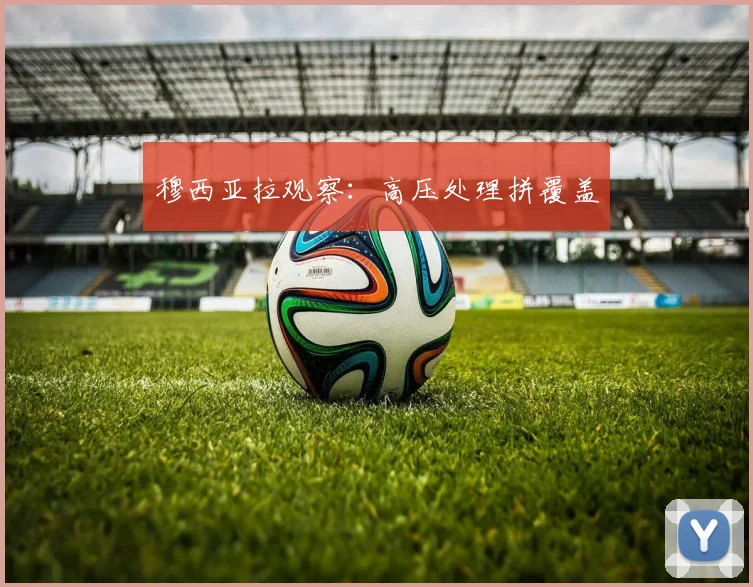 穆西亚拉观察:高压处理拼覆盖