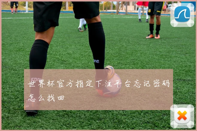 世界杯官方指定下注平台忘记密码怎么找回