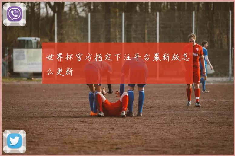 世界杯官方指定下注平台最新版怎么更新