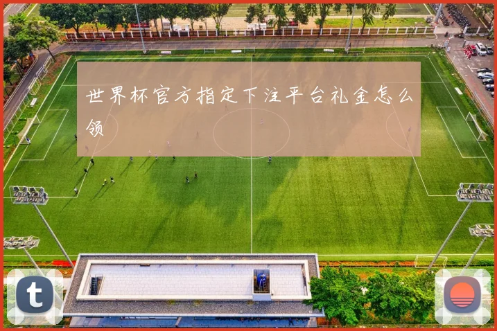 世界杯官方指定下注平台礼金怎么领