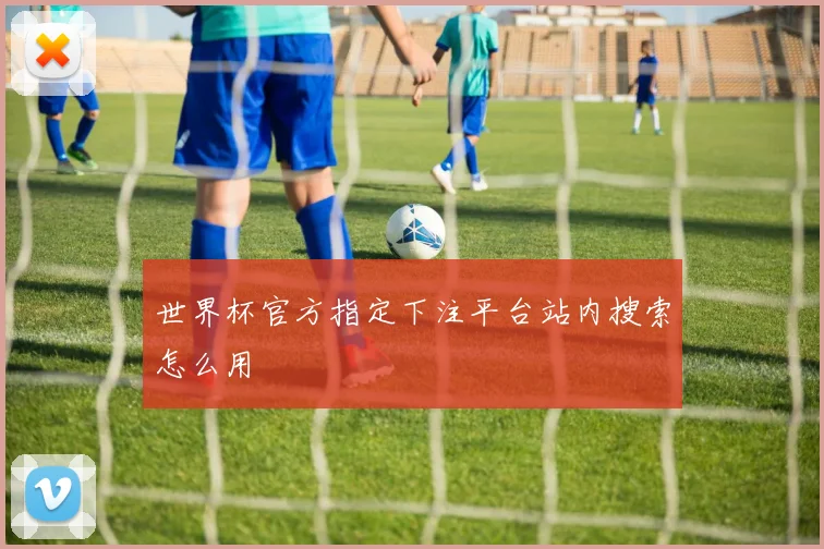 世界杯官方指定下注平台站内搜索怎么用